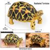 Ocean Wildlife Simulation Toy Set: Sea Turtle, Shark, Whale, Sea Lion, Tiger Shark, Manta Ray, Seal, Grouper.