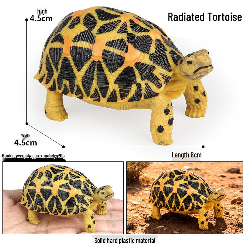 Ocean Wildlife Simulation Toy Set: Sea Turtle, Shark, Whale, Sea Lion, Tiger Shark, Manta Ray, Seal, Grouper.