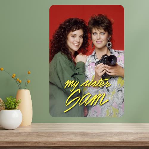 My Sister Sam Classic TV Show Metal Poster Sign