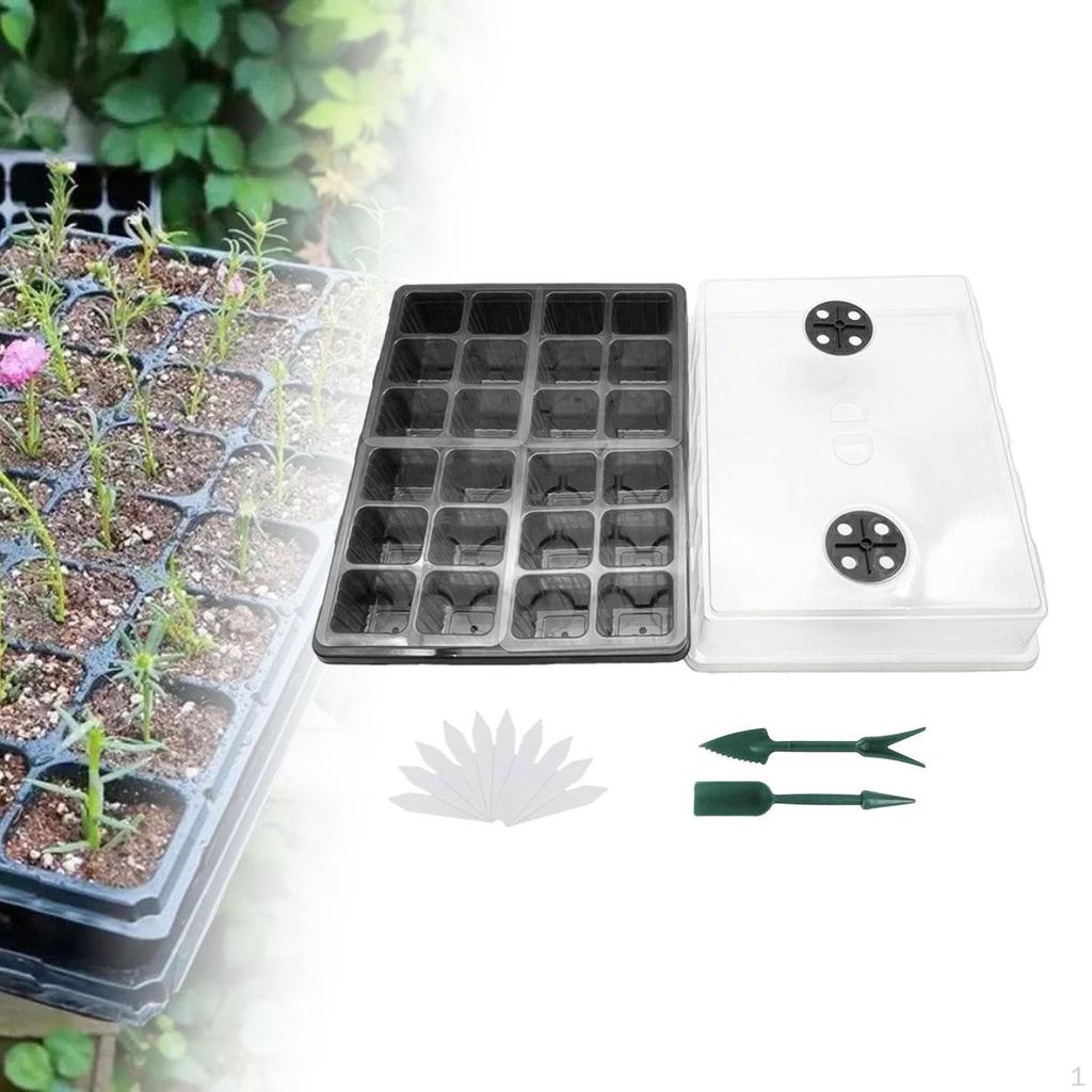 Поддон для проращивания семян, простой в использовании, с вентилируемой крышкой, выращивание рассады