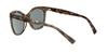 Sunglasses AX4094SF Havana 54 [Armani Exchange] Men's