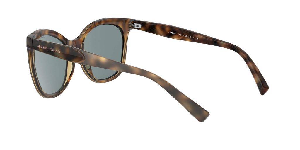 Sunglasses AX4094SF Havana 54 [Armani Exchange] Men's
