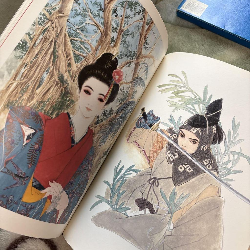 [Б/У] Художественный интерес: Коллекция работ Сумераги Нацуки