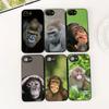 Cover for Samsung Galaxy S20 S22 S21 FE Ultra Plus A07 A17 A15 A16 A25 A57 A37 Casing Phone Case Animal Monkey Gorilla Ape Baby