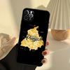 Punjab Map Phone Case For iPhone 14 16 15 11 12 13 17 Pro Max 13 mini 15 16 Plus 16e 17 Air Cover Funda