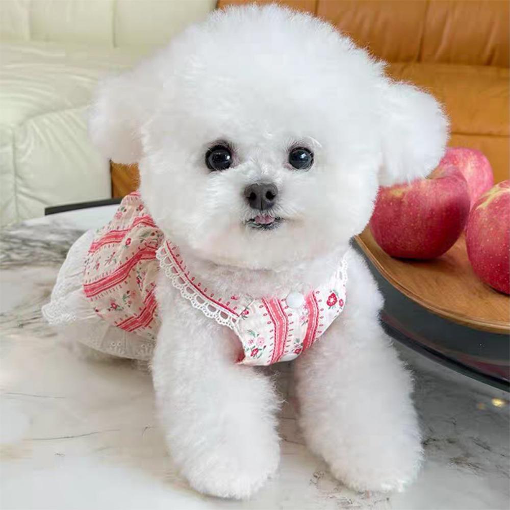 Одежда для домашних животных Весна/лето Новая полосатая кружевная юбка с цветочным принтом Медвежонок Кот Тонкая одежда Одежда для собак для маленьких собак Платье для маленьких собак