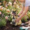 Decorative Dog Statue with Lantern Weather-Resistant Figurine Solar