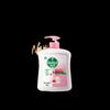Dettol Moisturizing Antibacterial Hand Wash