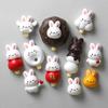 Rabbit Magnetic Refrigerator Magnet Creative Diy Refrigerator Sticker Decoration Resin Sticker Po Wall Gift Toy