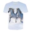 Animal Horse 3D Print Kids Short Sleeve T Shirt Fashion Casual Cartoon T-Shirt Harajuku Boys Girls Children's Clothing Tees Tops