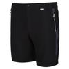 Regatta Mens Mountain II Shorts