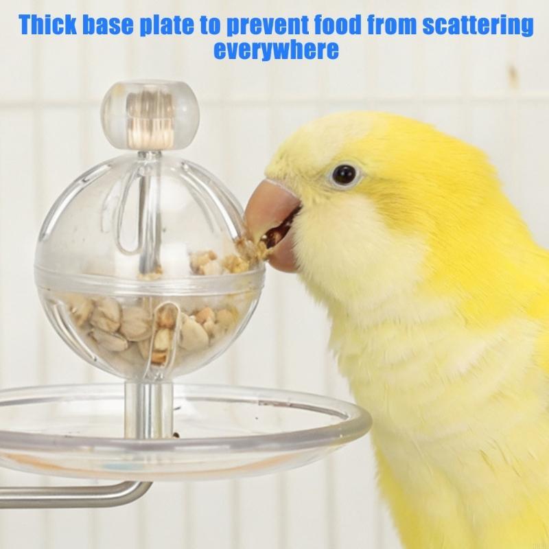 H8WB Stimulating Cockatiel Toy Rotating Feeding Station For Small Sized Birds