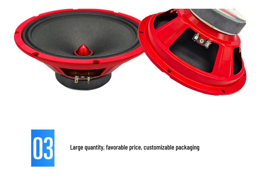 10-inch 256mm Round 4 Ohm 200W Multimedia Trolley Speaker Driver.