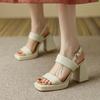 Fashion Women Fashion Buckle Strap Sandals  Comfortable Summer High Heeled Roman Sandal Woman Open Toed Square Heel Thick Heel Shoes2024