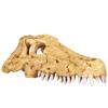 Crocodile Skull Terrarium Ornament Aquarium Terrarium Decoration