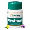 10 X Cystone 60 Tablet