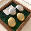 Brushed Metal Oval Egg-Shaped Earrings 2026 New Popular Style High-End Earrings European and American Style Light Luxury Minimalist Ear Studs