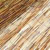 Garden Fence Reed