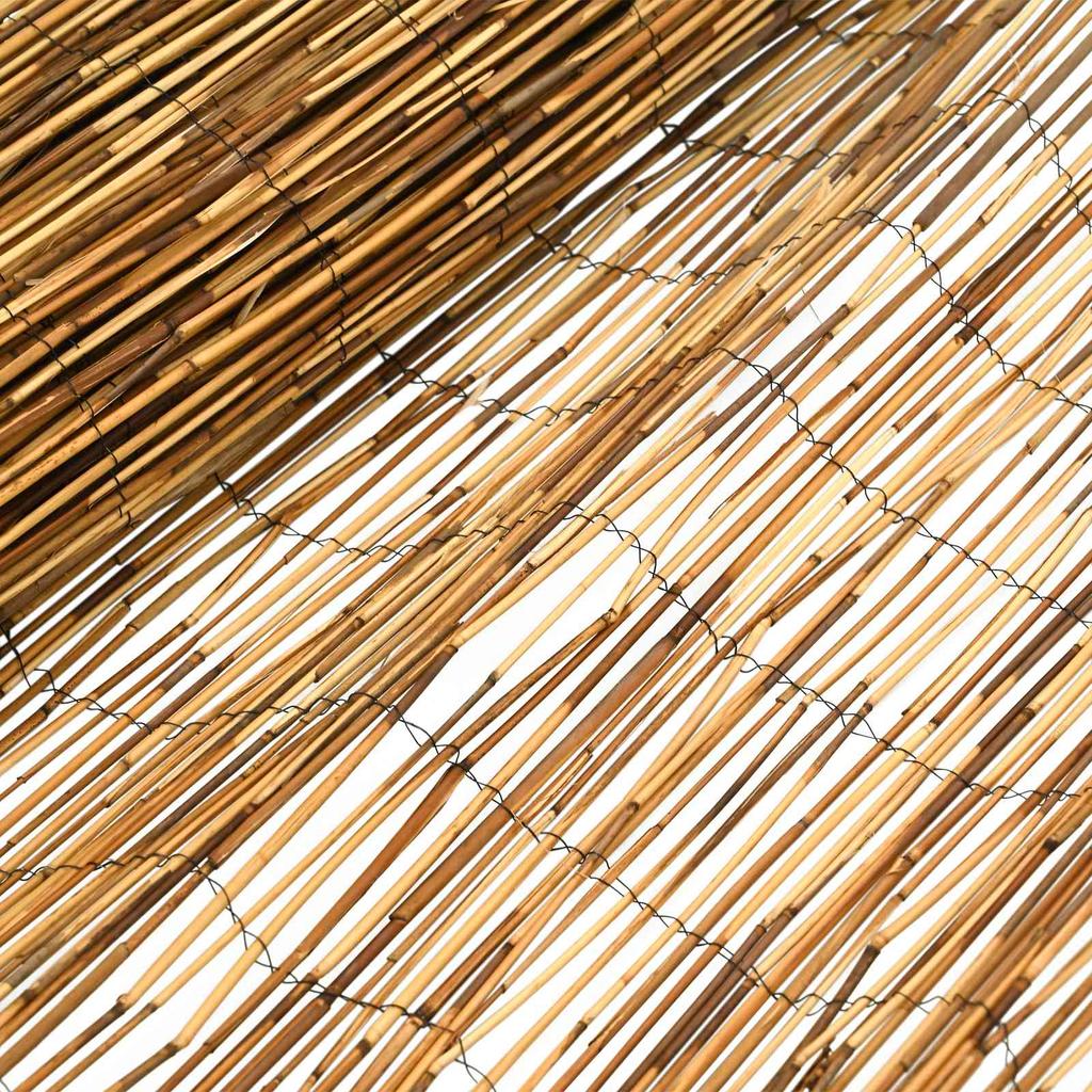 Garden Fence Reed