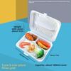 Plastic Disposable Lunch Box with Compartments - 3, 4 Grid Options for Takeaway, Bento, or Fast Food | Free Shipping