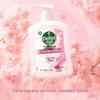 Dettol Антисептическое средство для мытья рук