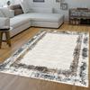 Washable Printed Carpet RV113-FNL419