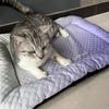 Breathable Pet Double-Sided Sleeping Mat Non-slip Dog Bed Cute Dog Kennel  for Cats and Dogs