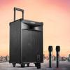 Edifier PW312 12-дюймовая портативная уличная колонна на колесиках, штекер CN (адаптер в комплекте)