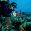 Универсальный водонепроницаемый чехол для телефона для дайвинга с кнопкой Bluetooth - Защита от падения на 15 м и полное покрытие для подводной съемки.