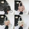 Trendy Women's Mini Handbag 2024 Spring New Shoulder Bag Street Style Casual Crossbody Bag