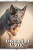 Книга Australian Cattle : Dog Breed Overview and Guide