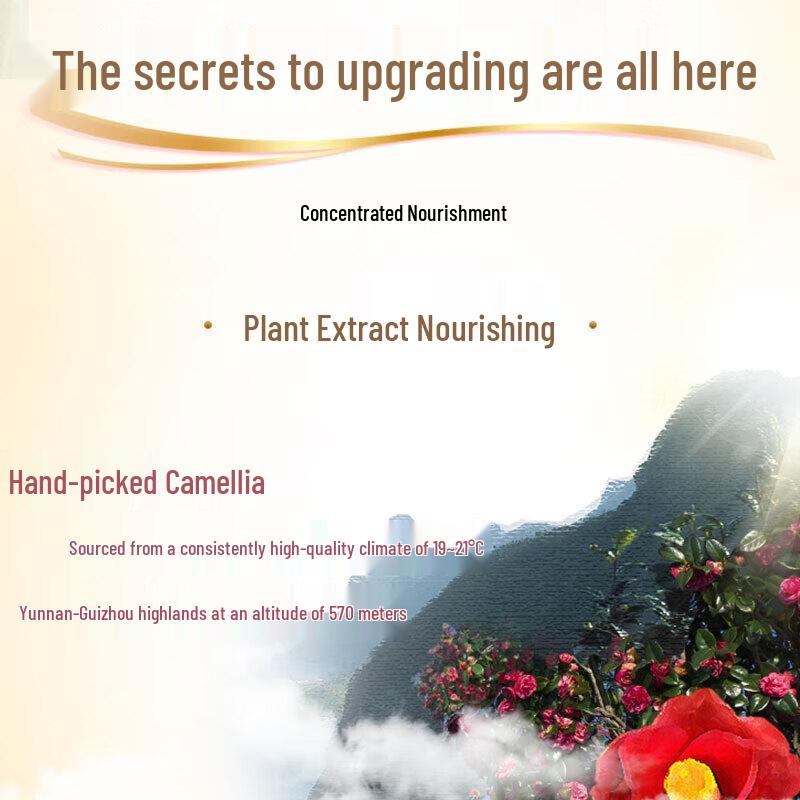 Набор шампуня и кондиционера Sulei с маслом камелии для контроля жирности и против перхоти