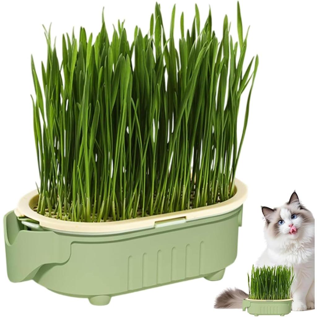 Hydroponic Cat Grass Planter Pot, Cats Grass Growing Pots, Indoor Gardening Soil-Less Growing Pot with Aeration Design Watering