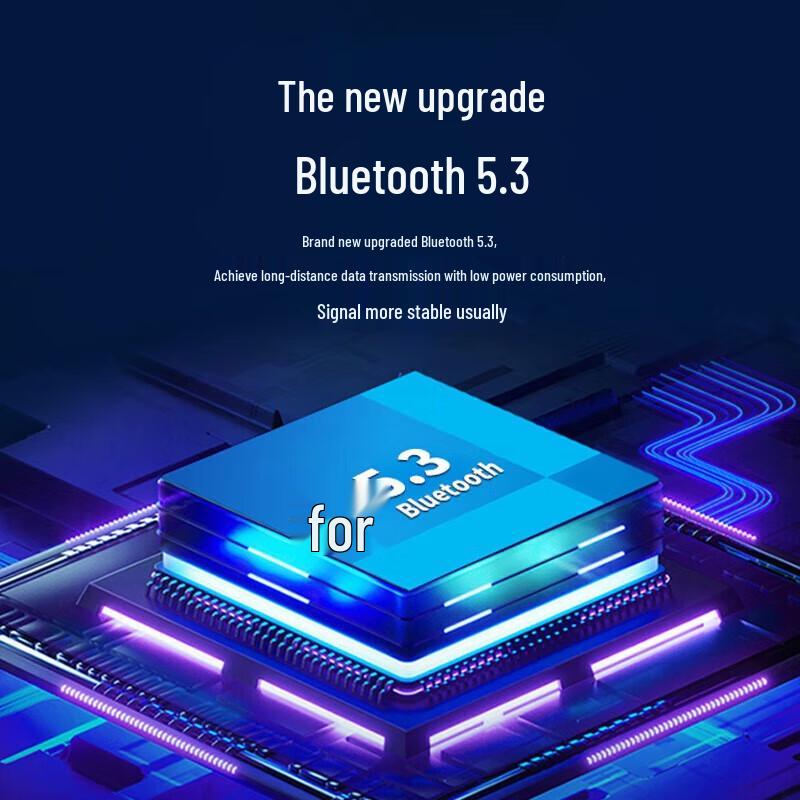 Philips SBM230 Wireless Portable Voice Amplifier with Waist-worn Microphone