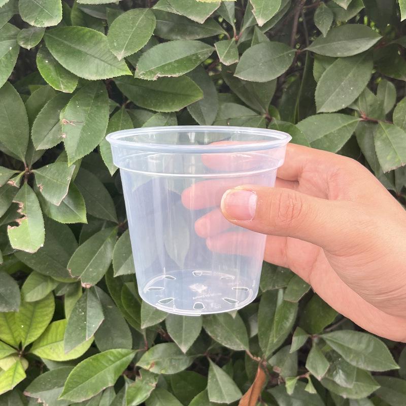 Clear Plastic Orchid Pot: Sphagnum Moss, Square & Round Design for Phalaenopsis or Fish Tanks