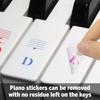 Removable Piano Key Decal Transparent Keyboard Note Sticker Accessories Keyboard Symbol Tags