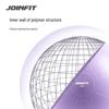 Jieyingfei Yoga Ball with Pump