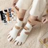 Winter Socks Women Thick Coral Fleece Warm Socks Animal Cat Paw Cute Socks Girls Soft Floor Socks