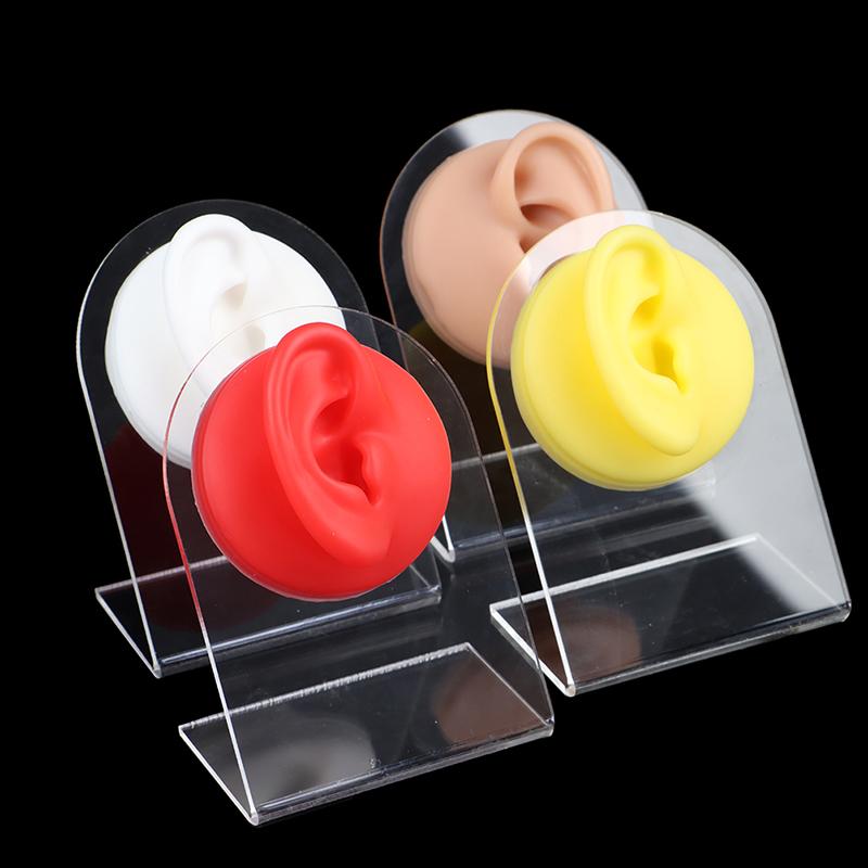 Силиконовые модели ушей, инструменты для пирсинга, ушные шпильки, дисплей с акриловой подставкой
