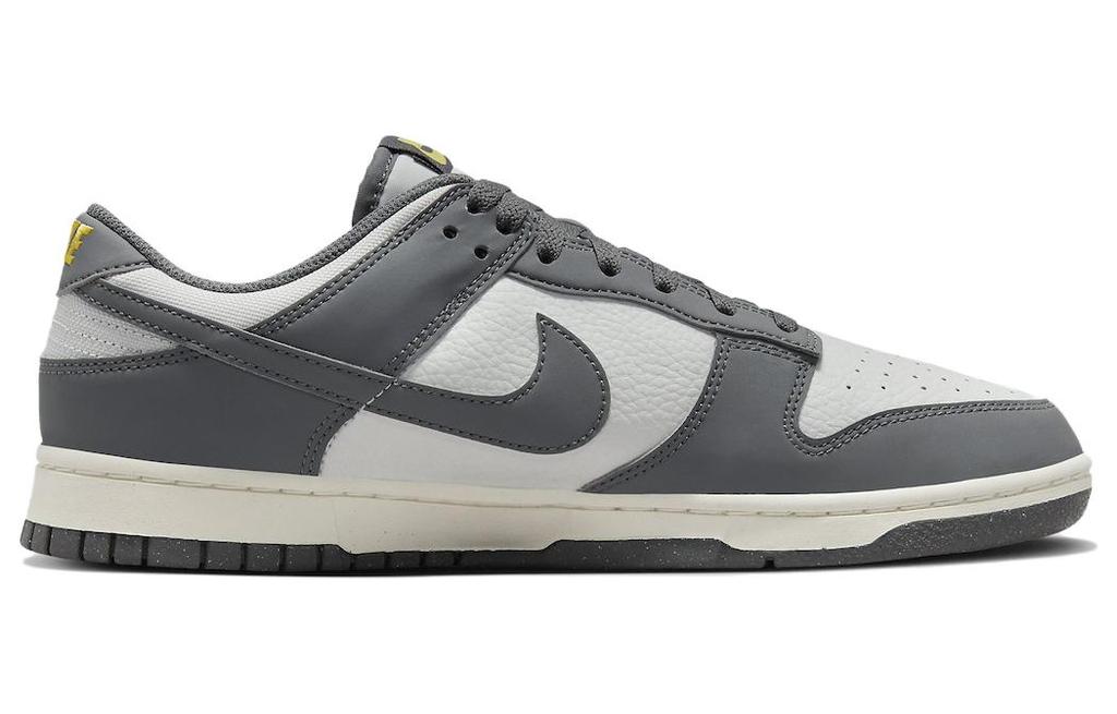 Nike Dunk Low Next Nature Серый Железный FZ4621-001