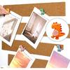 30 pcs Cute Dinosaur Decorative Push Pin Animal Thumbtack Photo Memo Note Drawing P Multi-Functional Pushpin Tool Cork Board Office Accessories