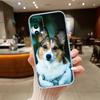 Cute Corgi dog Phone Case for Motorola G14 G15 G24 G30 G31 G32 G34 G41 G42 G51 G52 G50 G60S G60 G62 G72 G71 G73 G84 G85 G200 E32