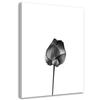 Canvas Print, Flower with Stem