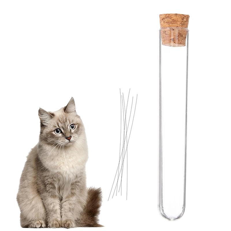 Cat Whisker Jar Mini Glass Vase For Whiskers Cat Whisker Holder Elegant Memorial Gift For Pet Lovers