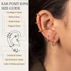 Small Hoop Earrings for Women - 316L Stainless Steel Small Hoops Earrings Set 18K Real Gold Plated Huggie Earring Sets