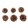 48pcs Christmas Pine Cones Ornaments with String Rustic Pine Cones Fall Decoration for DIY Crafts