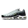 Мужские кроссовки Air Max Plus Bright Cactus, синие, черные, светло-серебристые, DM0032-006