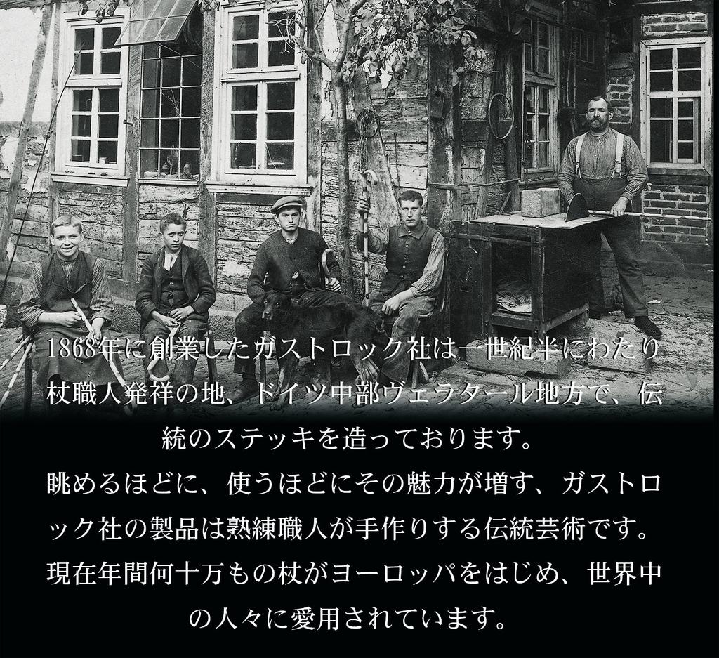 Роскошная трость немецкого производства GA-12 Gastlock,