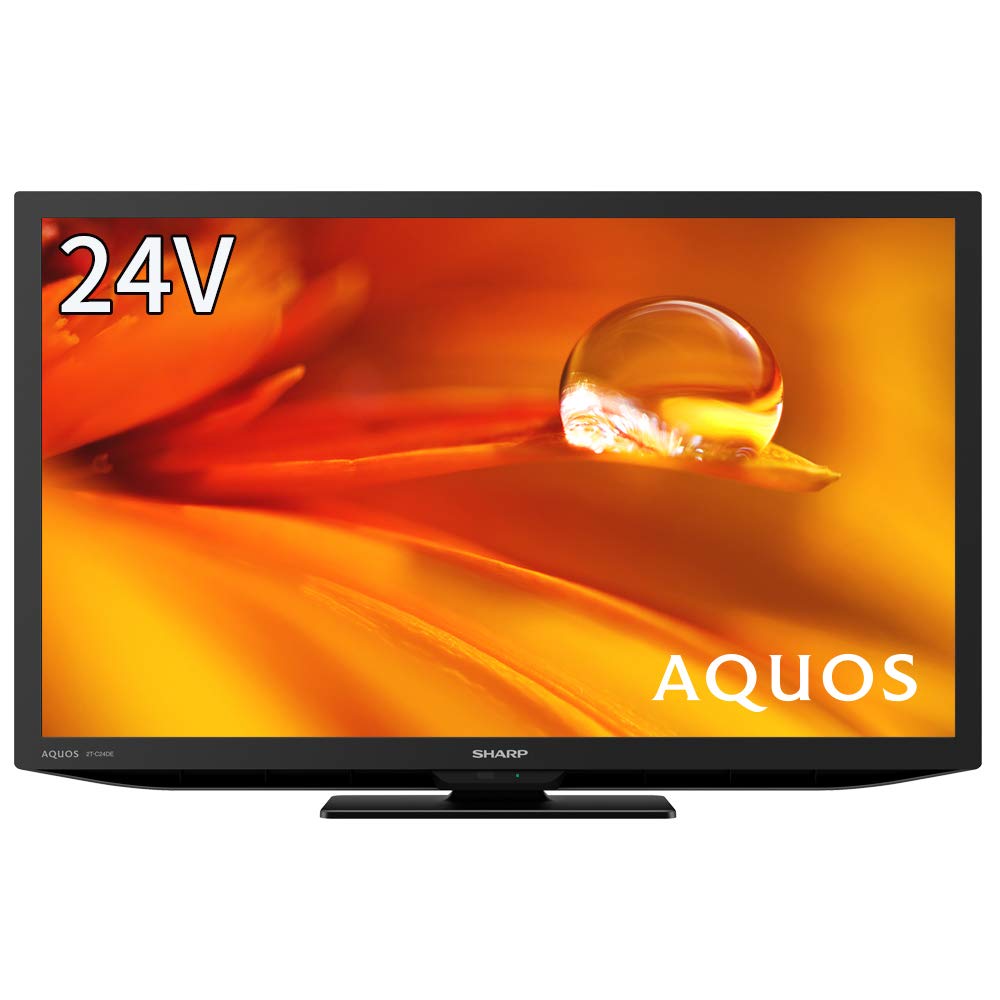 Sharp 24V LCD TV AQUOS High Definition External HDD Recording Supports 2021 Model Black 2T-C24DE-B Back-Program