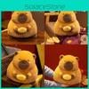 Adorable Cartoon Capybara Plush Toy For Girls Perfect For Living Room Decoration